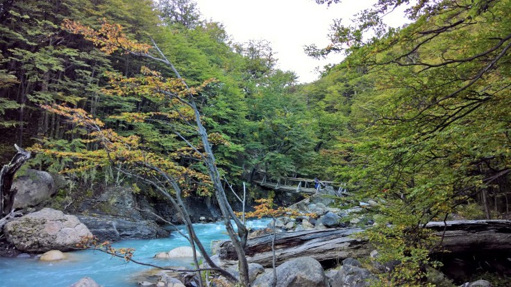 WP_20170329_10_01_24_Rich (2) (Medium)