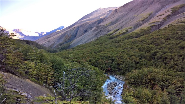 WP_20170329_10_30_27_Rich (Medium)