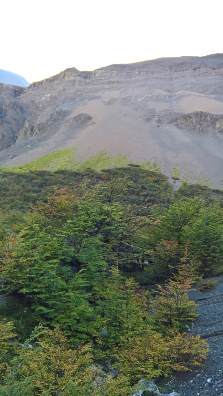 WP_20170329_11_02_00_Rich (Medium)