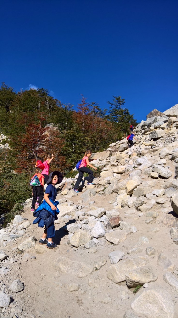 WP_20170329_11_28_57_Rich (Medium)