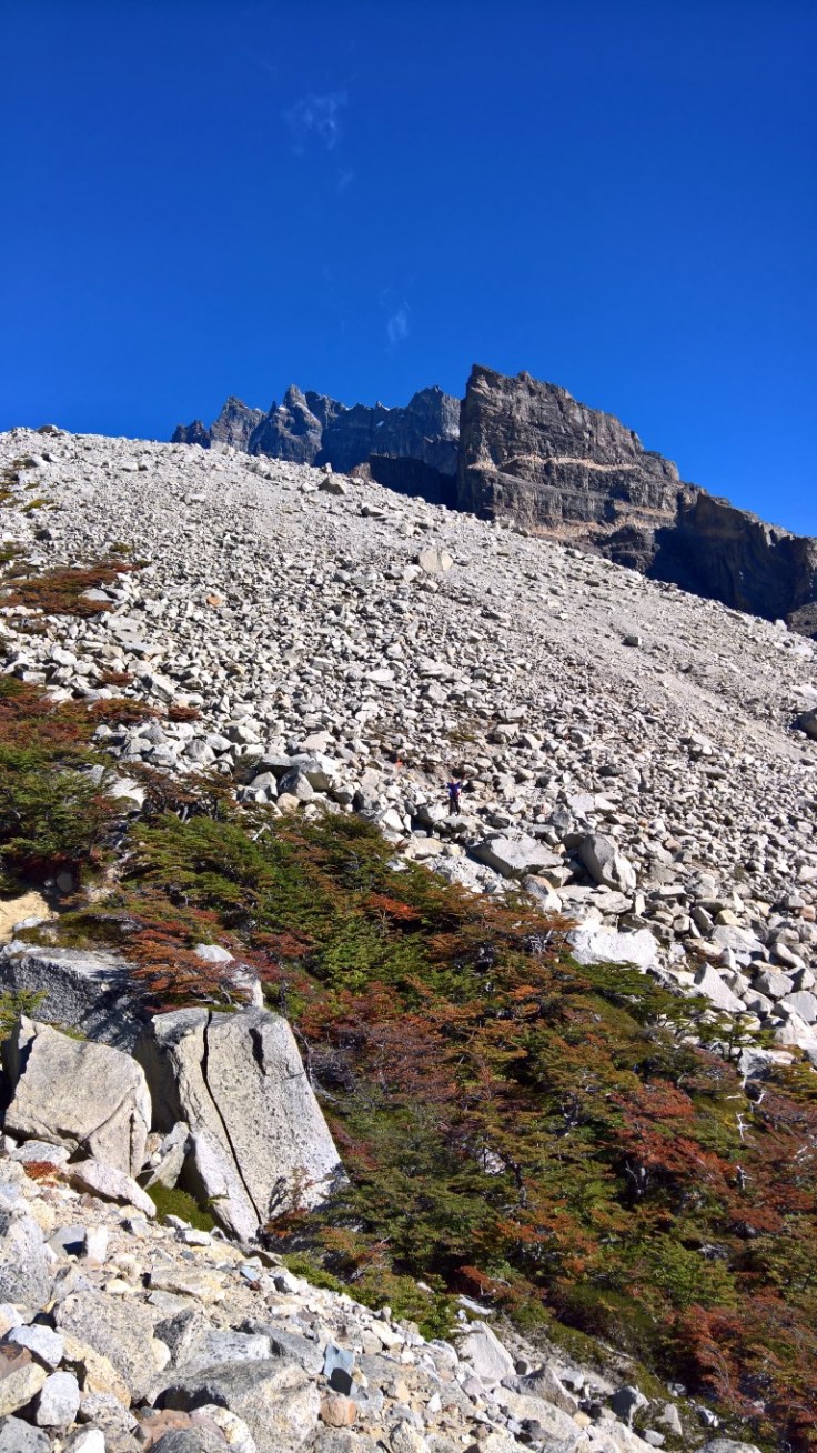 WP_20170329_11_49_44_Rich (Medium)