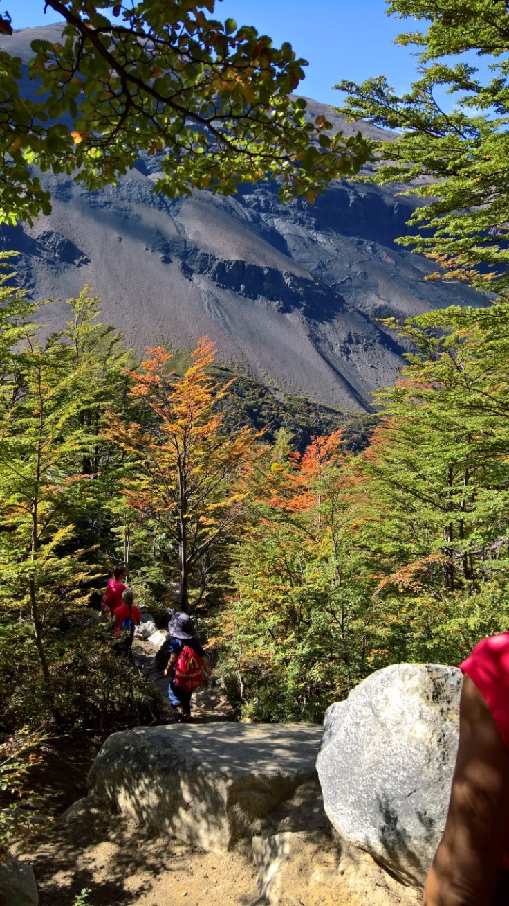 WP_20170329_14_01_11_Rich (Medium)