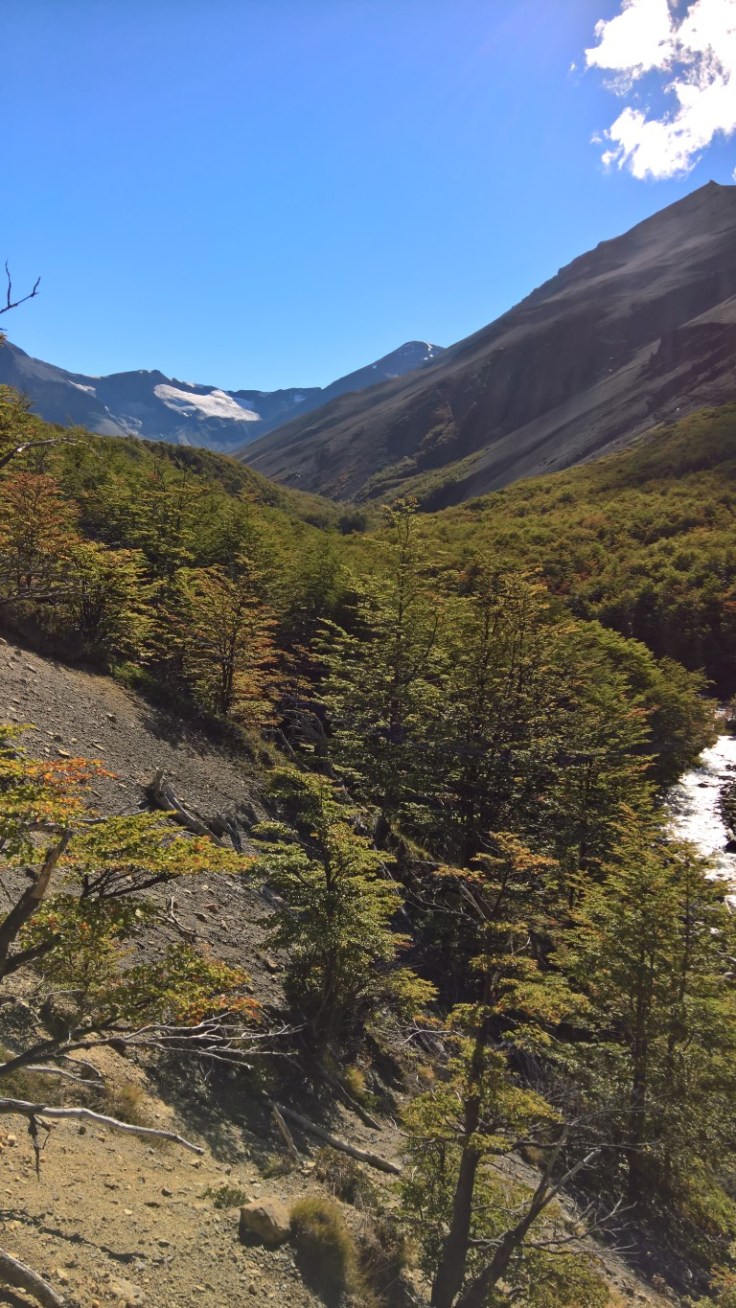 WP_20170329_14_34_22_Rich (Medium)