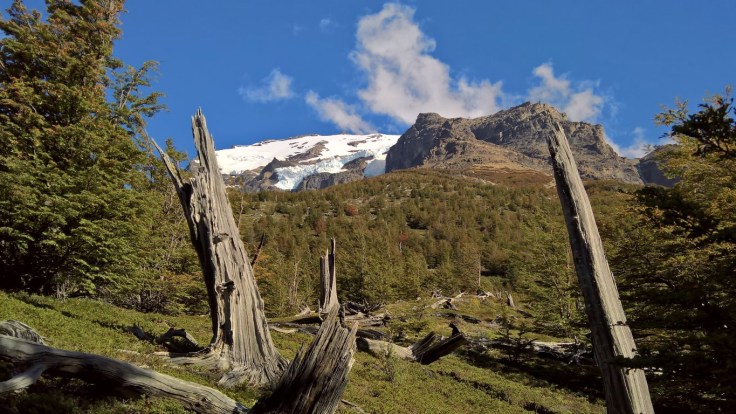 WP_20170329_14_41_11_Rich (Medium)