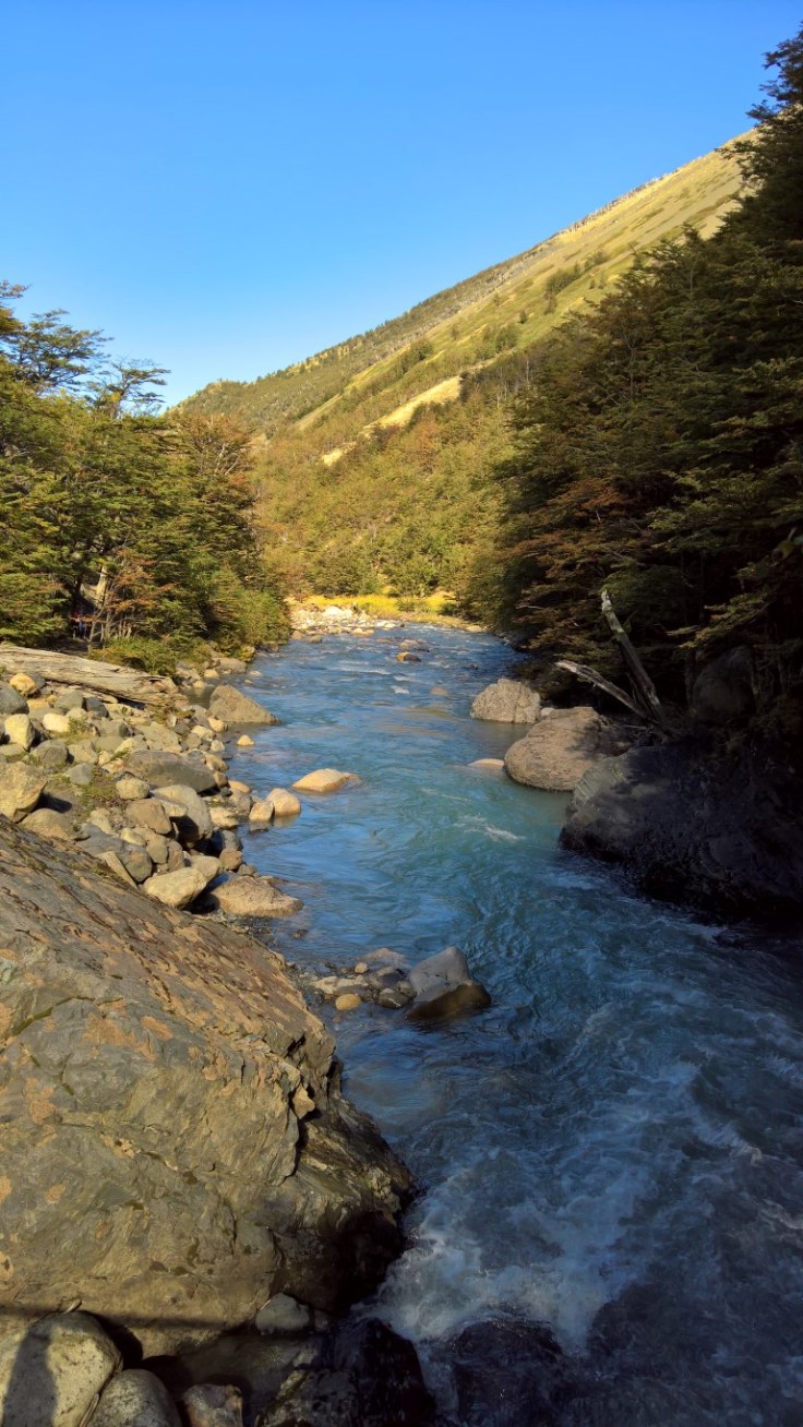 WP_20170329_14_55_58_Rich (Medium)