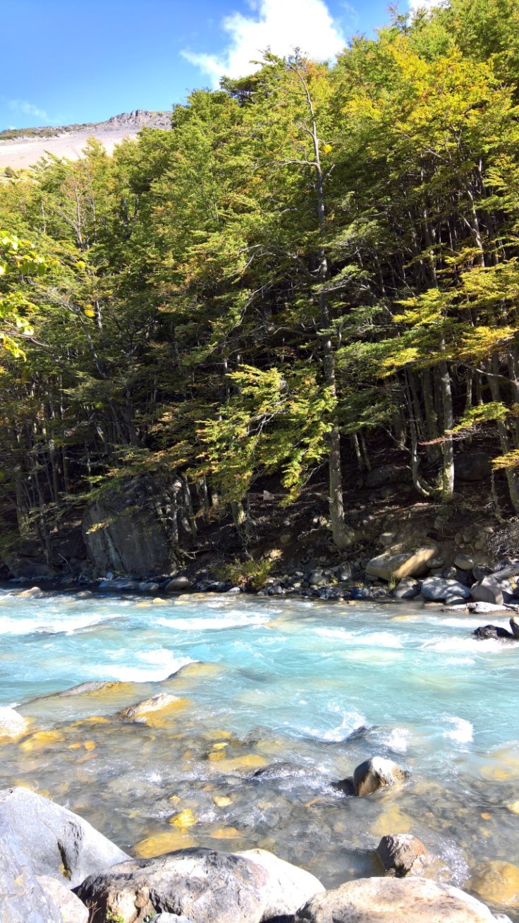 WP_20170329_14_56_53_Rich (Medium)