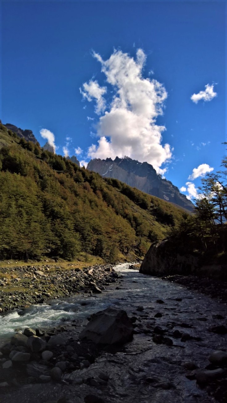 WP_20170329_15_04_11_Rich (Medium)