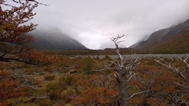 WP_20170406_10_35_01_Rich (Medium)