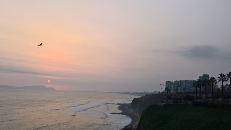 WP_20170504_17_44_50_Rich (Small)