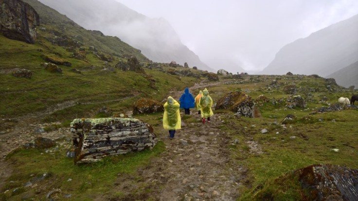 WP_20170509_11_25_44_Rich (Small)