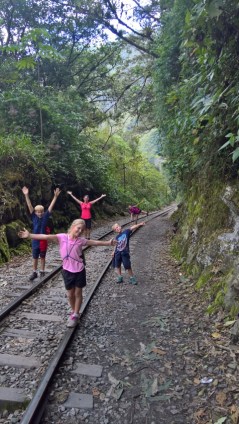 WP_20170512_15_36_25_Rich (Small)