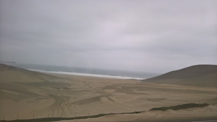 WP_20170520_14_00_00_Pro (Small)