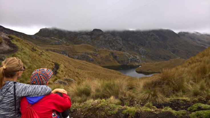 WP_20170530_11_47_39_Pro (Small)