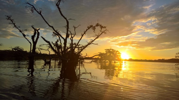 WP_20170606_17_56_28_Pro