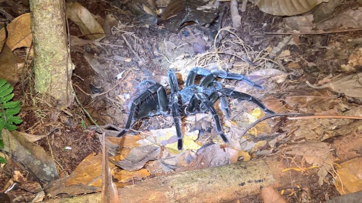 WP_20170606_20_53_26_Pro