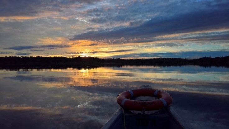 WP_20170609_06_09_55_Pro