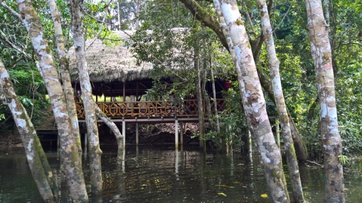 WP_20170609_09_38_51_Pro