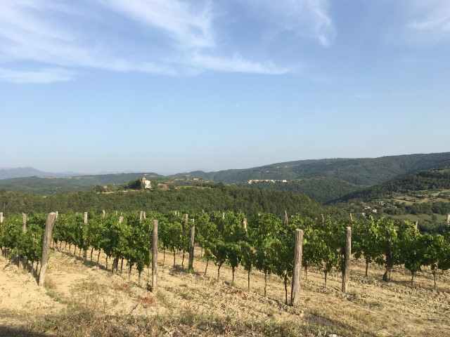 2054ED0B-1CE8-4D86-B4D2-1F9131BF5C9B