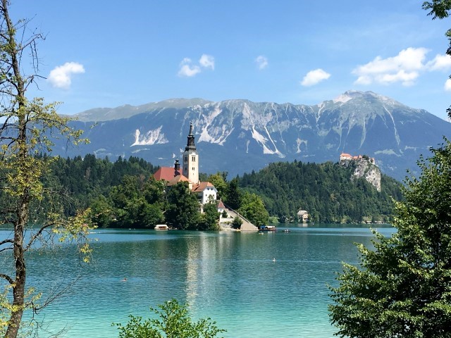 20F70F24-109C-4A59-A3CE-609DF6DD3977