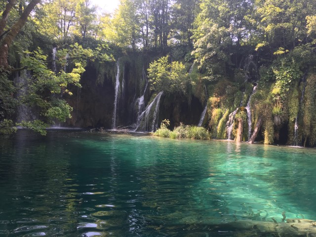 3D005591-D7F8-4C06-B8FE-4810C20EF810