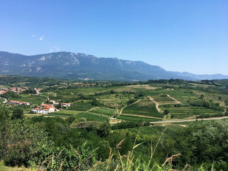 5D39DB71-DF33-45BB-857C-55B0AC11C29D (2)