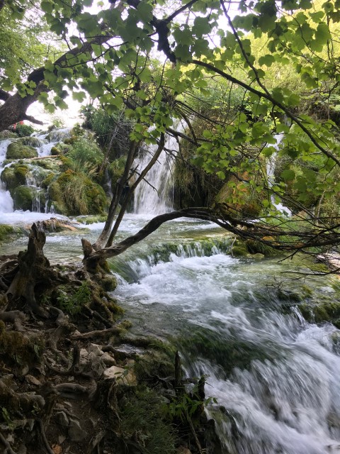 6E7E086C-3A24-44C5-A22D-B9D5C7274690