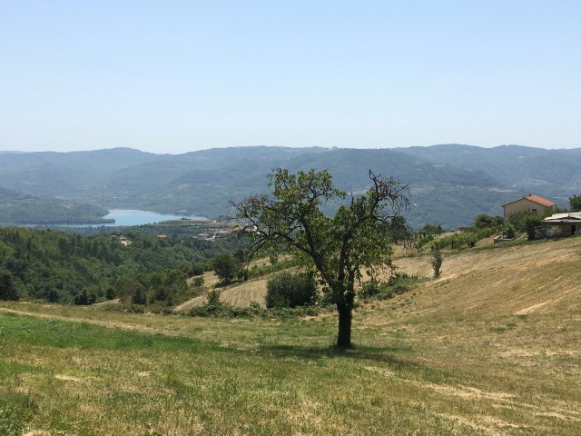 8765EE9A-3869-4EEF-B4EB-DD0F98B9EA36