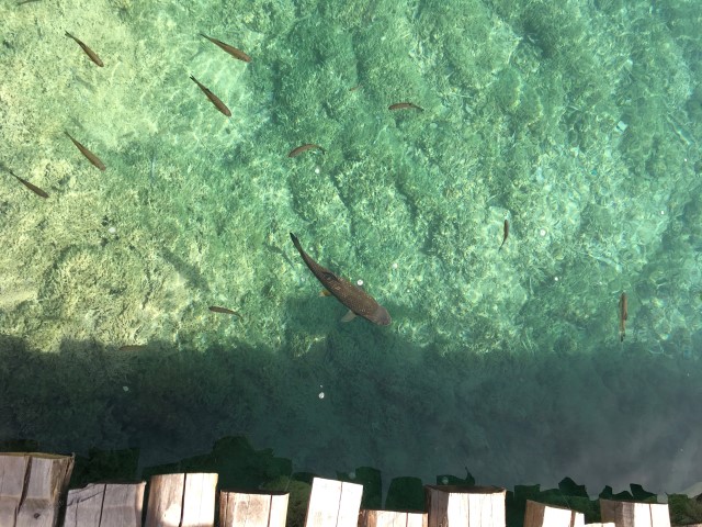 8C630BAE-9116-40A5-8C96-7555E280CDAD