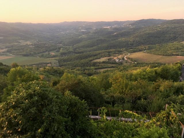 9261C30A-BDFE-41CE-ADE1-8C1A046CE34C