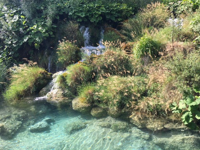 ACD27D76-8A26-48B1-8ADE-D3665F9A2331