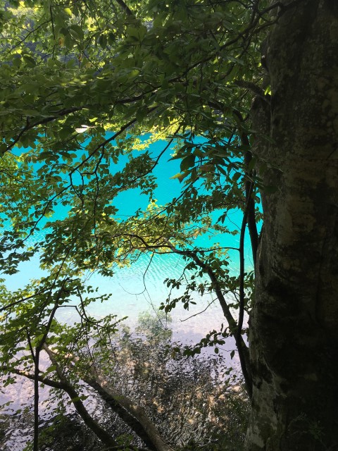 C94167BB-325A-45F4-B8B6-EFE6C6278BB4