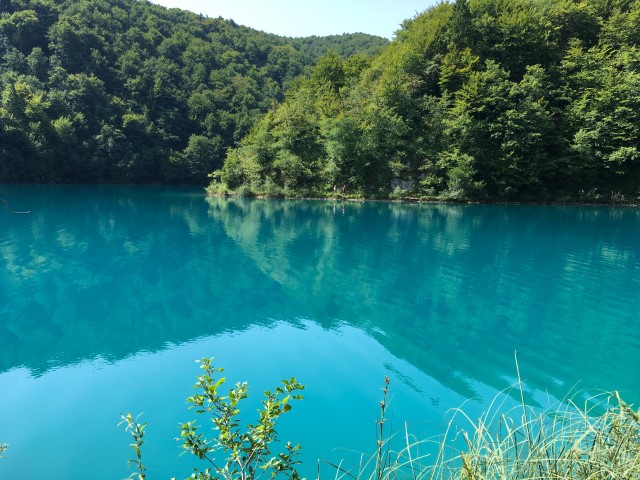 E51833FC-6B99-4A04-B334-0F75CE5CC328